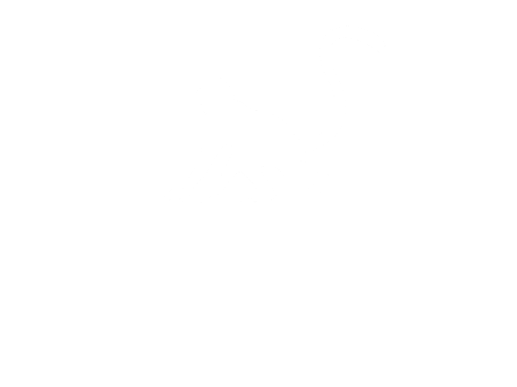 Monkeys Tales Studio